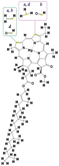 chloro